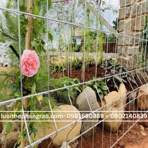 Hàng rào thép ô 75x200mm mạ kẽm chấn sóng